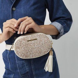 Aldo glitter fenny bag
